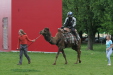 Thumbnail img_3262.jpg 