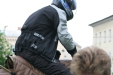 Thumbnail img_3269.jpg 