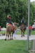 Thumbnail img_3273.jpg 