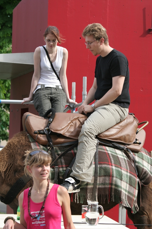 img_3116.jpg 