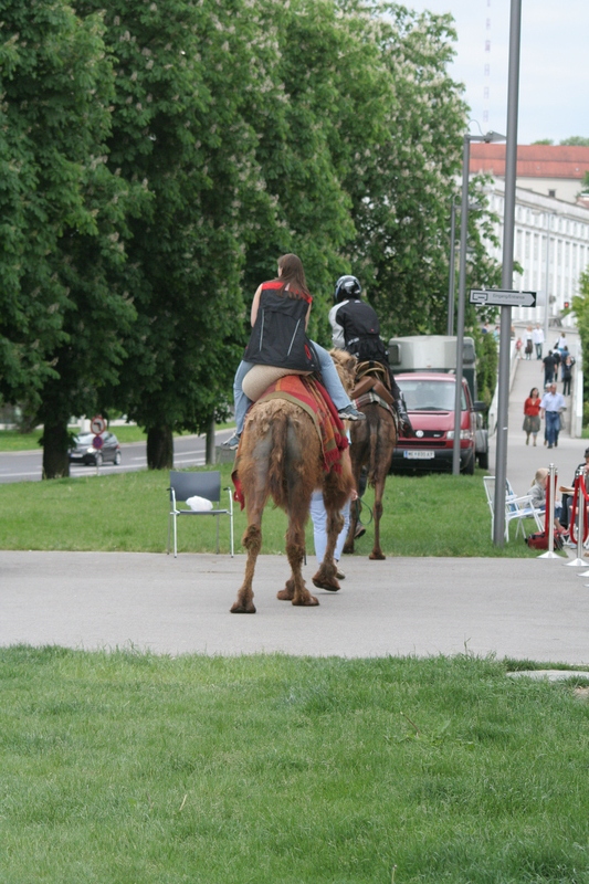 img_3274.jpg 