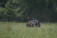 Thumbnail img_4925.jpg 