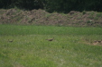 Thumbnail img_4992.jpg 