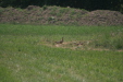 Thumbnail img_4994.jpg 