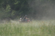 Thumbnail img_5083.jpg 