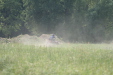 Thumbnail img_5131.jpg 