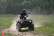 Thumbnail img_5219.jpg 