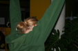 Thumbnail img_0484.jpg 