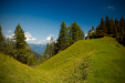 Thumbnail _mg_7056.jpg 