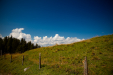 Thumbnail _mg_7066.jpg 