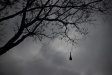 Thumbnail img_4022.jpg 