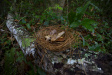 Thumbnail img_4034.jpg 