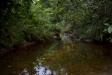 Thumbnail img_4039.jpg 