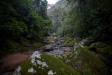Thumbnail img_4042.jpg 