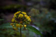 Thumbnail img_4043.jpg 