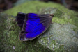 Thumbnail img_4044.jpg 
