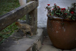 Thumbnail img_4052.jpg 