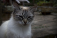 Thumbnail img_4056.jpg 