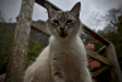 Thumbnail img_4060.jpg 