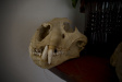 Thumbnail img_4071.jpg 
