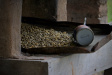 Thumbnail img_4105.jpg 