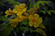 Thumbnail img_4151.jpg 