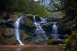 Thumbnail img_4157.jpg 