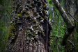 Thumbnail img_4165.jpg 