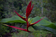 Thumbnail img_4167.jpg 