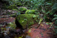 Thumbnail img_4498.jpg 