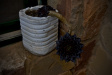 Thumbnail img_4564.jpg 