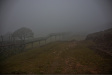 Thumbnail img_4636.jpg 