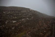 Thumbnail img_4643.jpg 