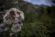 Thumbnail img_4689.jpg 