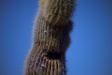 Thumbnail img_4930.jpg 
