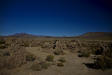 Thumbnail img_5126.jpg 