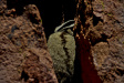 Thumbnail img_5715.jpg 