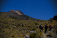 Thumbnail img_5856.jpg 