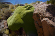 Thumbnail img_5858.jpg 