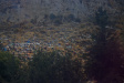 Thumbnail img_6325.jpg 