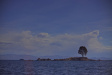 Thumbnail img_6617.jpg 