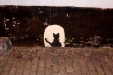 Thumbnail img_7894.jpg 