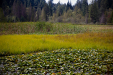 Thumbnail _mg_8572.jpg 