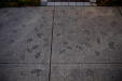 Thumbnail _mg_9033.jpg 