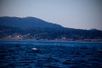 Thumbnail _mg_9329.jpg 