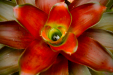 Thumbnail _mg_9548.jpg 