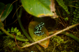 Thumbnail _mg_9620.jpg 