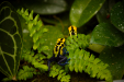 Thumbnail _mg_9628.jpg 