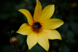 Thumbnail _mg_9748.jpg 