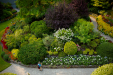 Thumbnail _mg_9756.jpg 